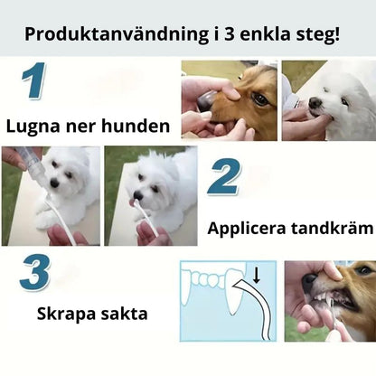 Tandstensskrapa 3 sets för hund och katt - Djurslottet