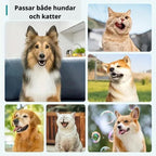 Tandstensskrapa För Hund,
Ta Bort Tandsten, Tandstensskrapa 3 sets för hund och katt - Djurslottet