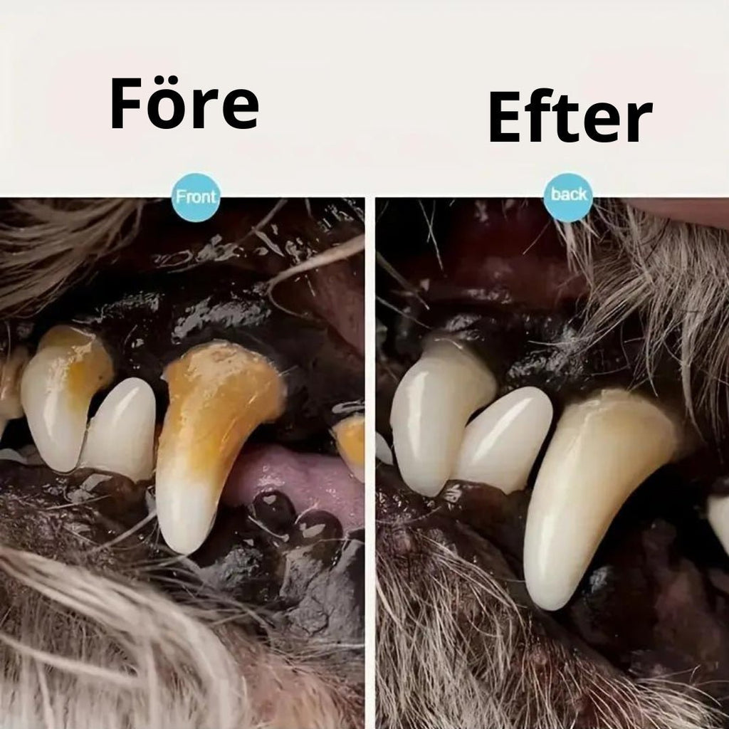 Tandstensskrapa För Hund,
Ta Bort Tandsten, Tandstensskrapa 3 sets för hund och katt - Djurslottet