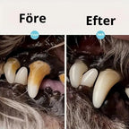 Tandstensskrapa För Hund,
Ta Bort Tandsten, Tandstensskrapa 3 sets för hund och katt - Djurslottet
