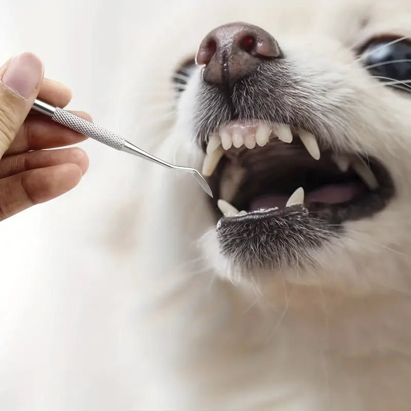 Tandstensskrapa 3 sets för hund och katt - Djurslottet